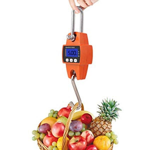 Bilancia Gancio Molla Dinamometro 300kg Digitale Industriale Portatile - Offershop.it