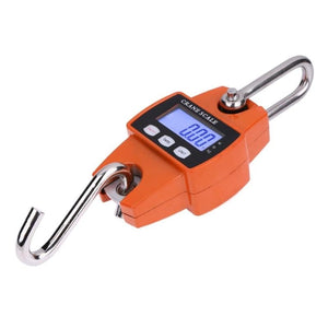 Bilancia Gancio Molla Dinamometro 300kg Digitale Industriale Portatile - Offershop.it
