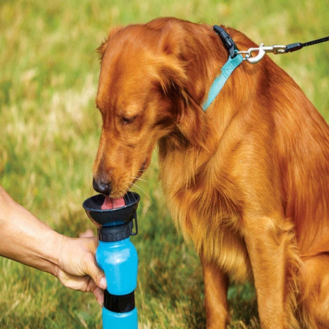 Image of Borraccia Bottiglia Dispencer Ciotola Acqua Portatile 400ml Cane Gatto - Offershop.it